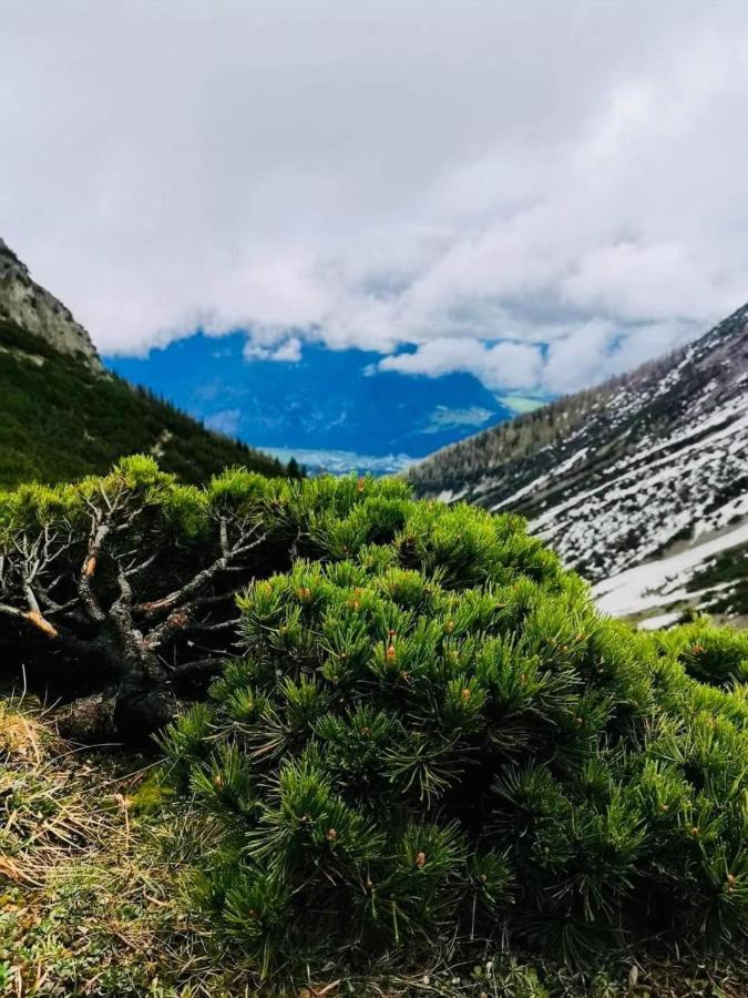 Apart Waldesruh Arzl im Pitztal Zewnętrze zdjęcie