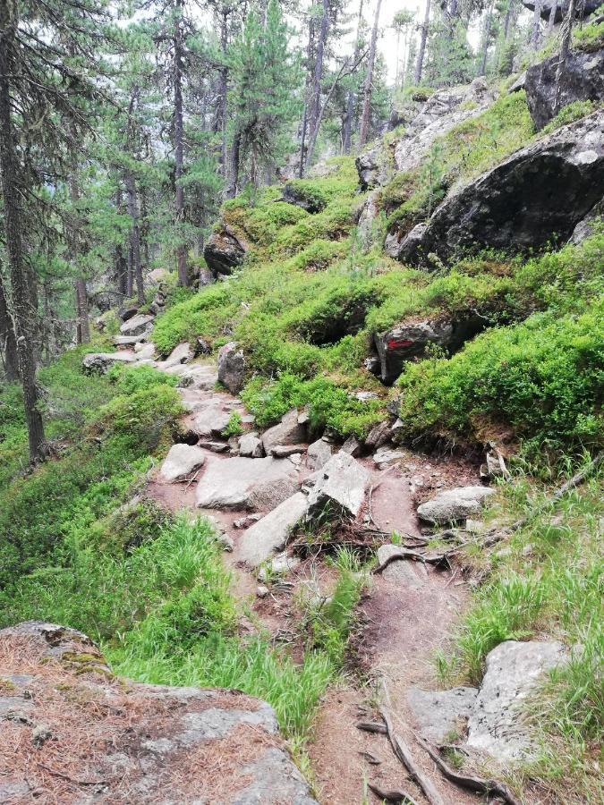 Apart Waldesruh Arzl im Pitztal Zewnętrze zdjęcie
