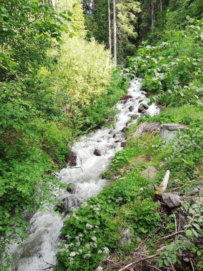 Apart Waldesruh Arzl im Pitztal Zewnętrze zdjęcie